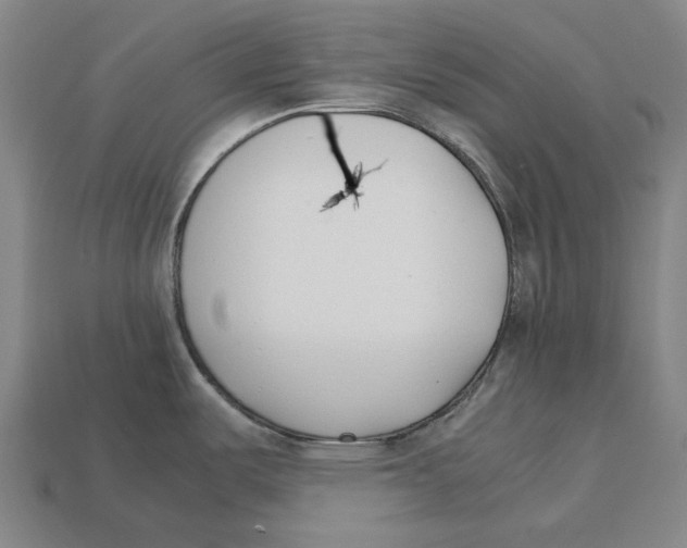 X0000113091487200909250959