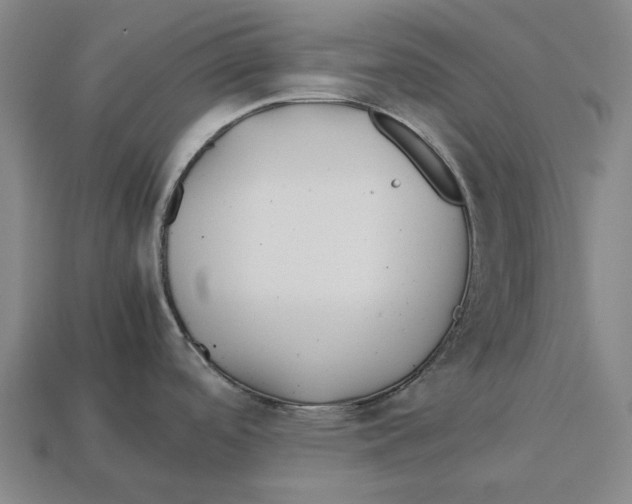 X0000113091488200909250959