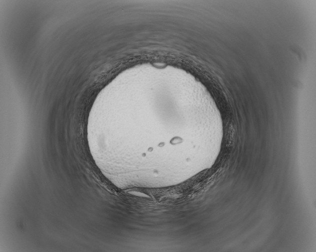 X0000113091489200909250959