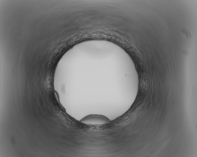 X0000113091490200909250959