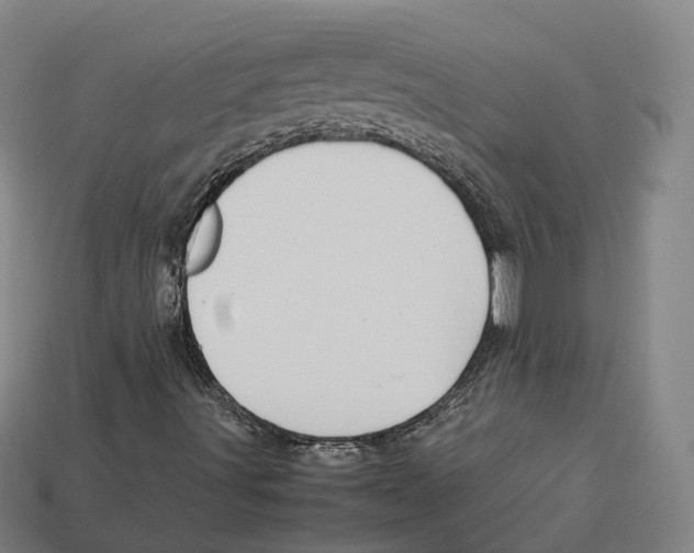 X0000113091491200909250959