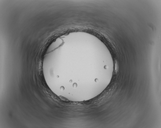 X0000113091492200909250959