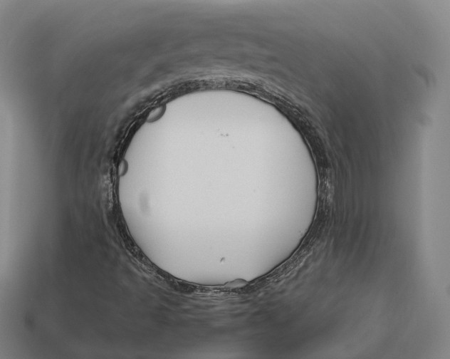 X0000113091493200909250959