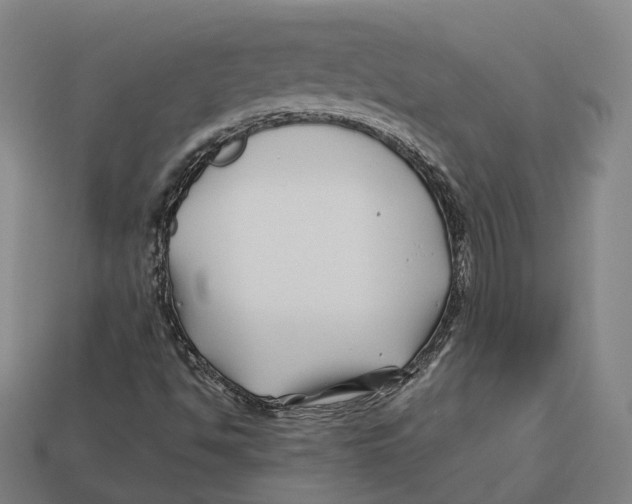 X0000113091494200909250959