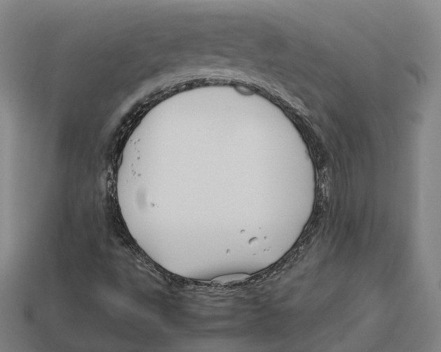 X0000113091495200909250959