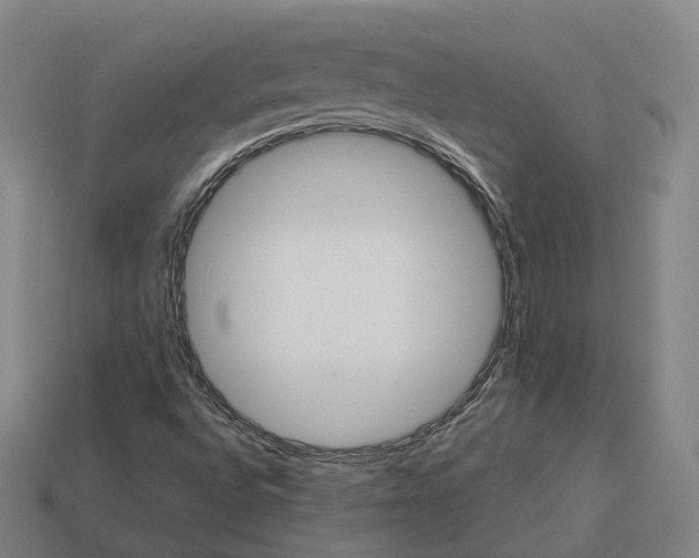 X0000113091496200909250959