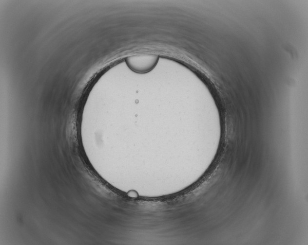 X0000113091498200909250959