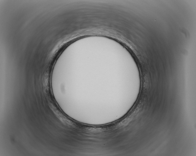 X0000113091499200909250959