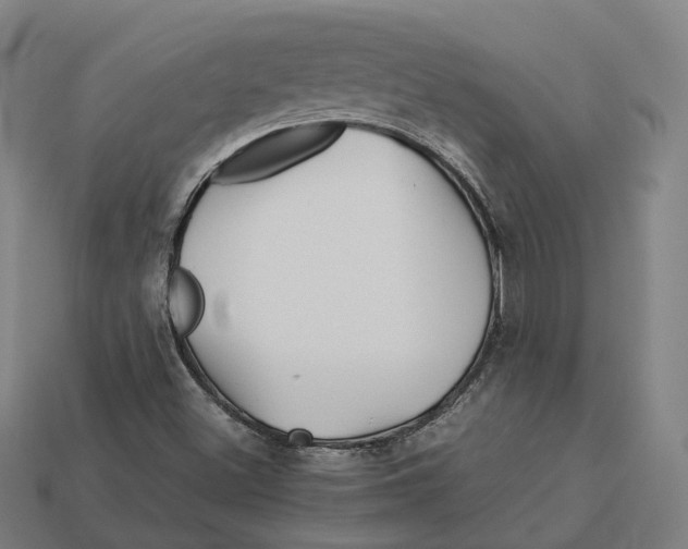 X0000113091500200909250959