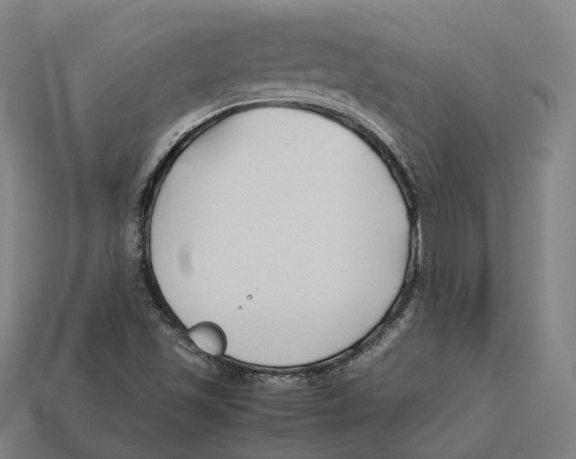 X0000113091501200909250959