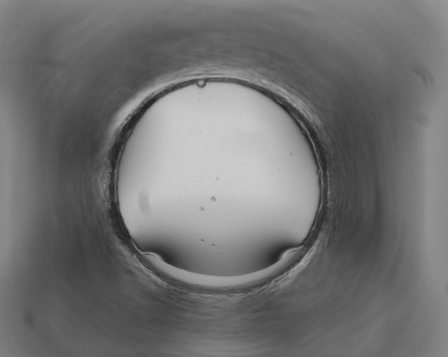 X0000113091502200909250959