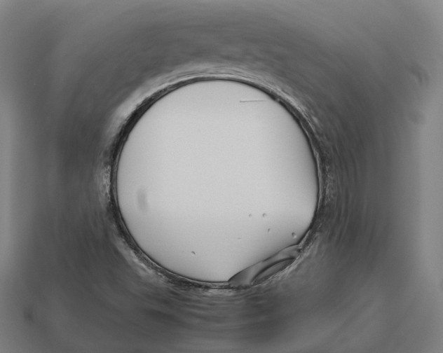 X0000113091503200909250959