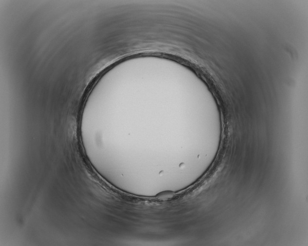 X0000113091505200909250959