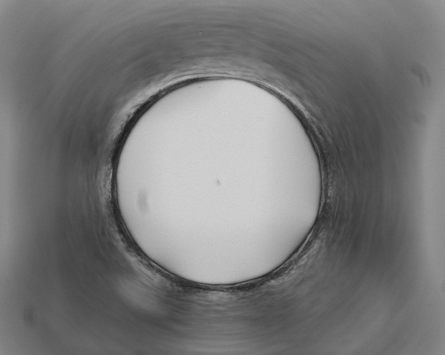 X0000113091507200909250959