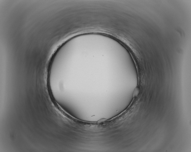 X0000113091508200909250959