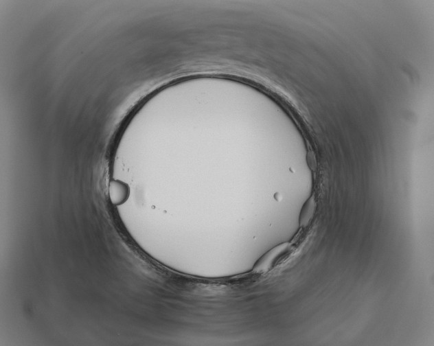 X0000113091509200909250959