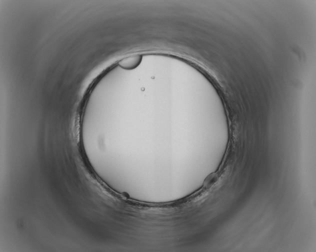 X0000113091510200909250959