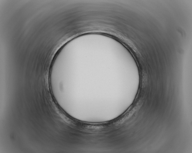 X0000113091513200909250959