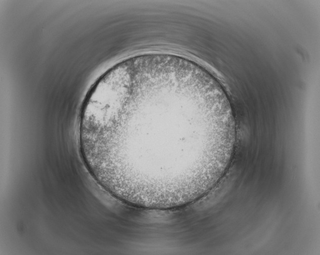 X0000113091514200909250959