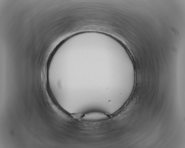 X0000113091515200909250959