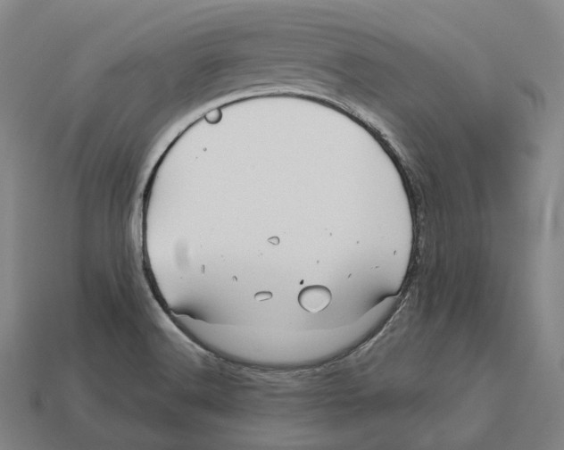 X0000113091516200909250959