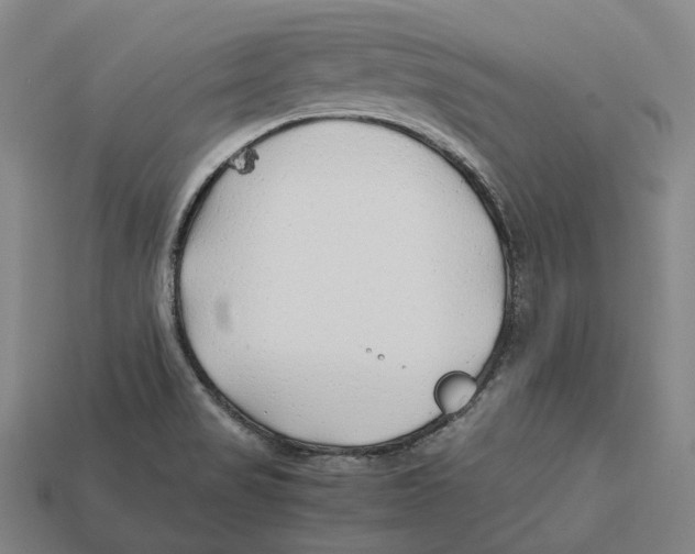 X0000113091517200909250959