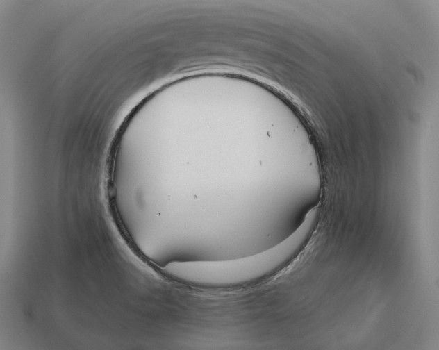 X0000113091518200909250959