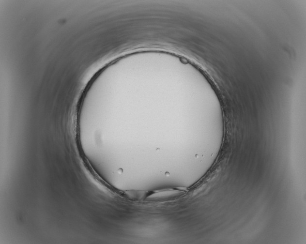 X0000113091519200909250959