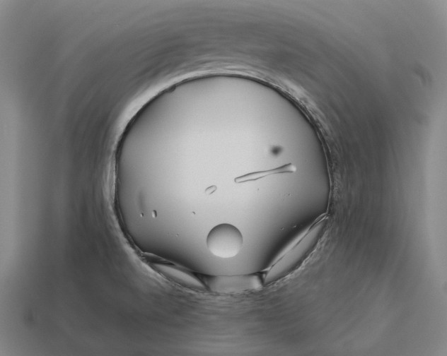 X0000113091520200909250959