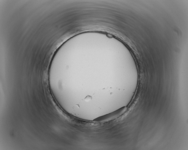 X0000113091521200909250959