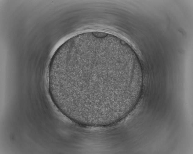 X0000113091522200909250959