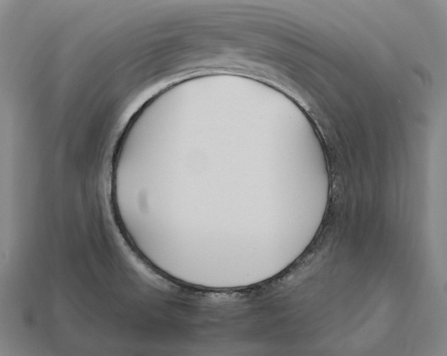 X0000113091523200909250959