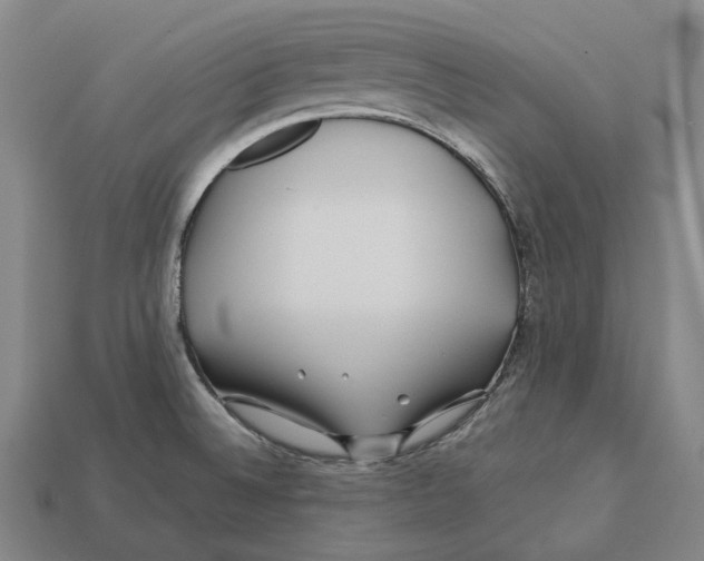 X0000113091524200909250959