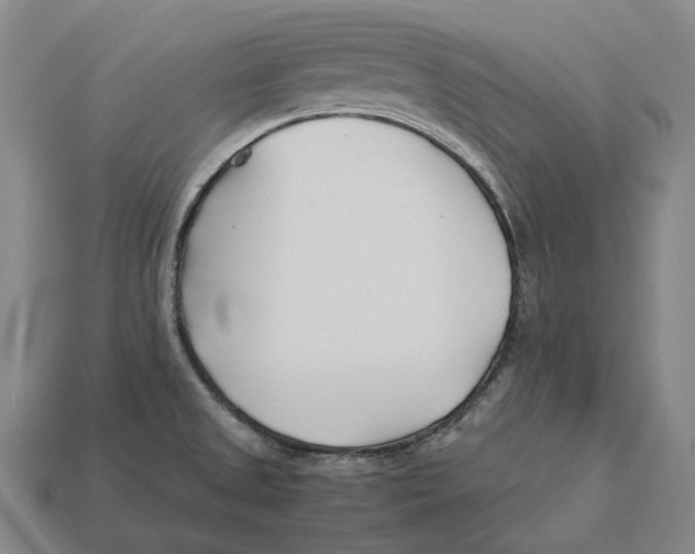 X0000113091525200909250959