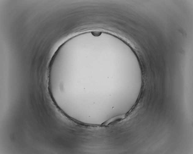 X0000113091526200909250959