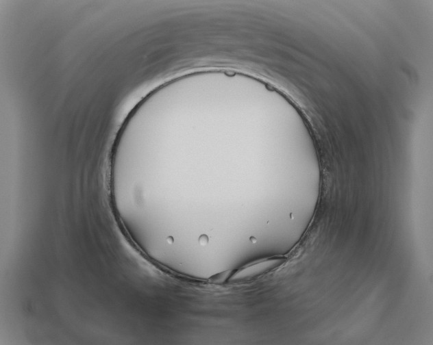 X0000113091527200909250959