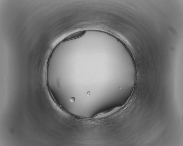 X0000113091528200909250959