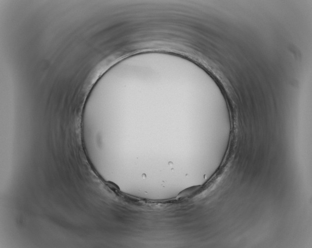 X0000113091529200909250959