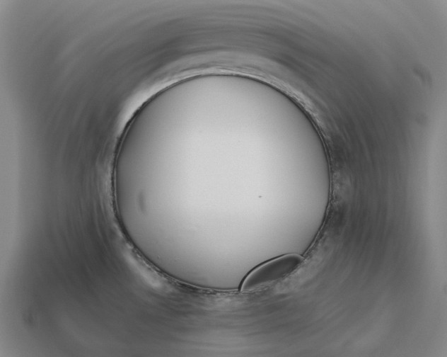 X0000113091530200909250959