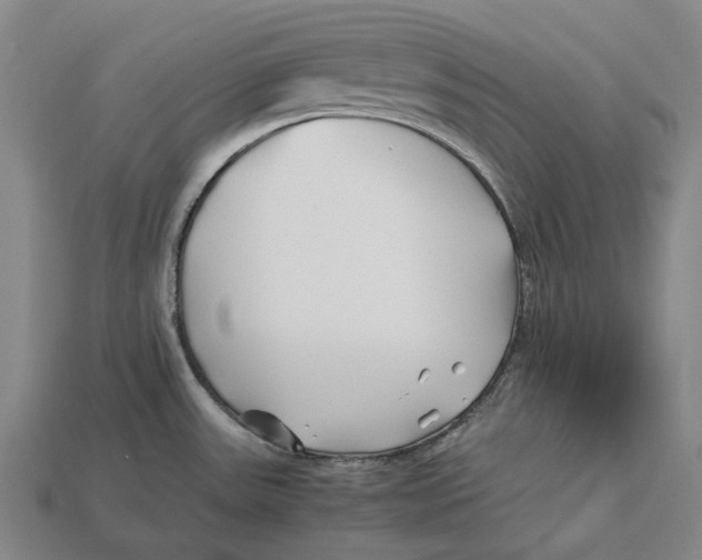 X0000113091531200909250959