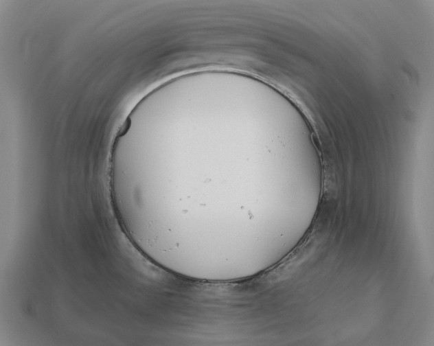 X0000113091532200909250959