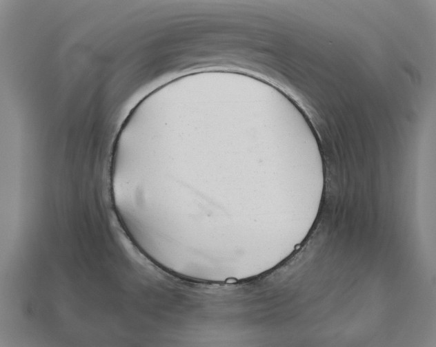 X0000113091534200909250959