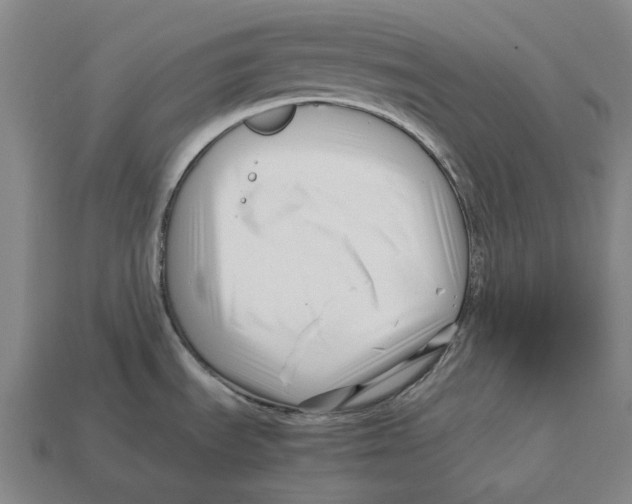 X0000113091535200909250959