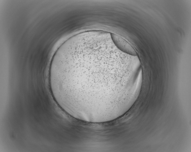 X0000113091536200909250959