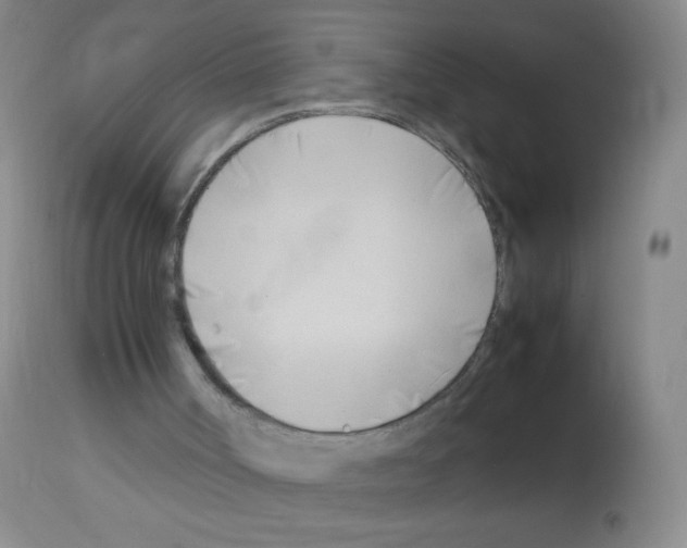 X0000113090002200910091308