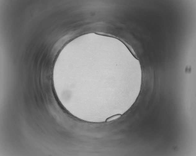 X0000113090003200910091308