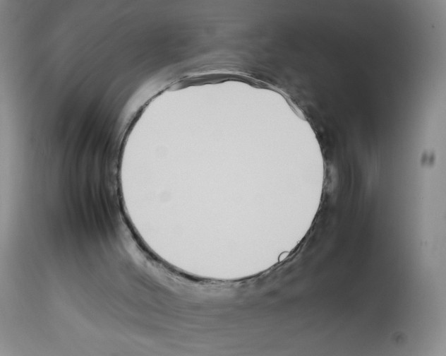 X0000113090004200910091308