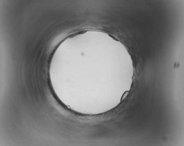 X0000113090005200910091308
