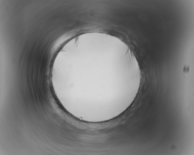 X0000113090006200910091308