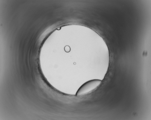 X0000113090007200910091308